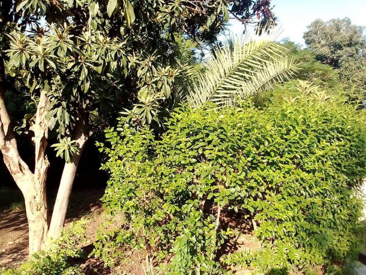 Newly Renovated Guesthouse Islamabad Eksteriør bilde